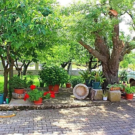 Lejlighed In Vrvari With One-bedroom 3 Poreč