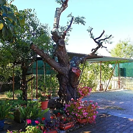 Apartment In Vrvari With One-bedroom 3 Porec